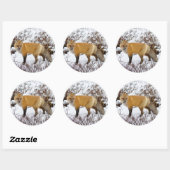 Sticker Rond Renard rouge dans la neige en hiver (Feuille)