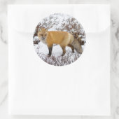 Sticker Rond Renard rouge dans la neige en hiver (Sac)