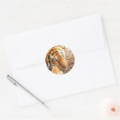 Sticker Rond Repose de tigre (Enveloppe)
