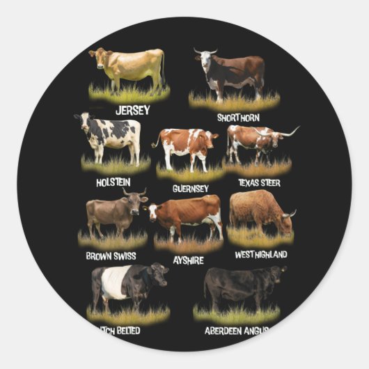 Sticker Rond Reproducteurs de vaches Retro Fermier Boeuf et lai (Devant)