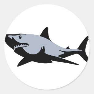 Sticker Rond Requin