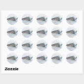 Sticker Rond Requin dans l'eau (Feuille)