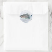 Sticker Rond Requin dans l'eau (Sac)