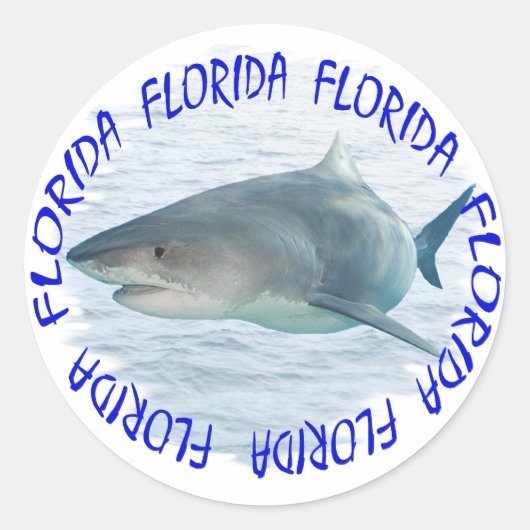 Sticker Rond Requin de Floride (Devant)