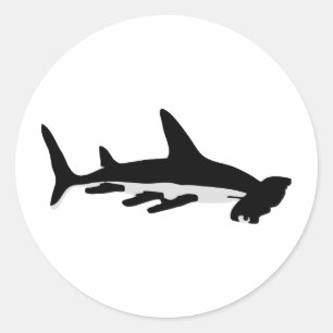 Sticker Rond requin marteau
