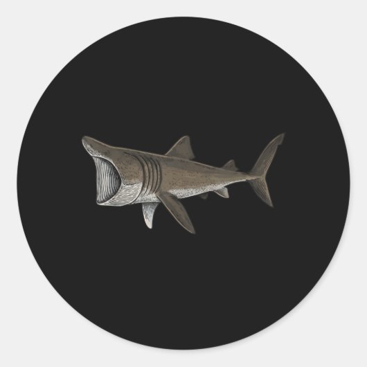 Sticker Rond Requin pèlerin (Devant)