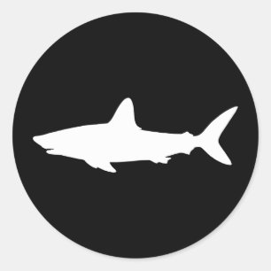 Sticker Rond Requin qui nage