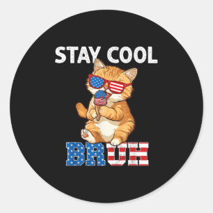 Sticker Rond Restez Cool Chat Popsicle Lover Drapeau américain 
