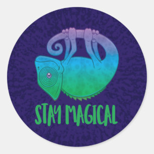 Sticker Rond Restez magique Lévitation Chameleon