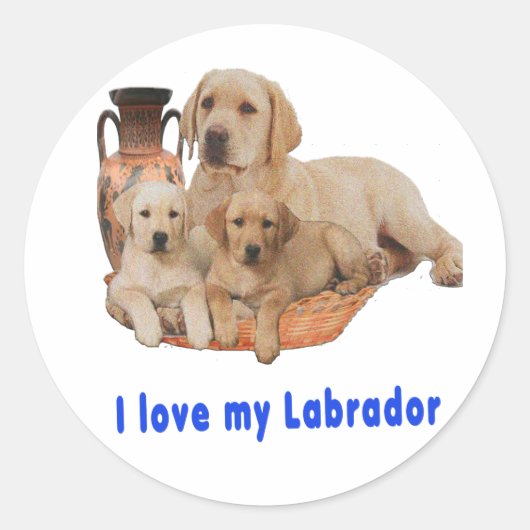 Sticker Rond Retriever du Labrador (Devant)