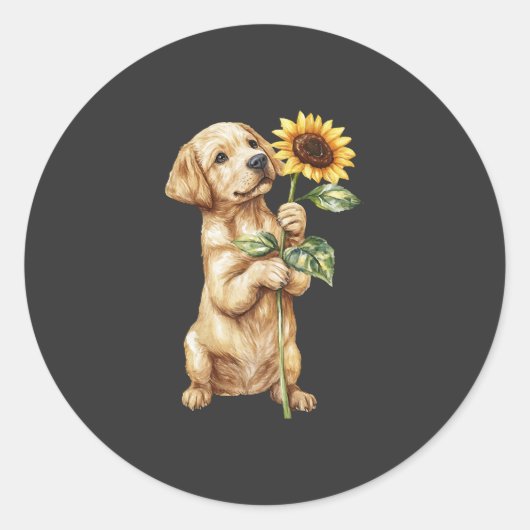 Sticker Rond Retriever du Labrador (Devant)