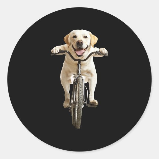 Sticker Rond Retriever du Labrador    (Devant)
