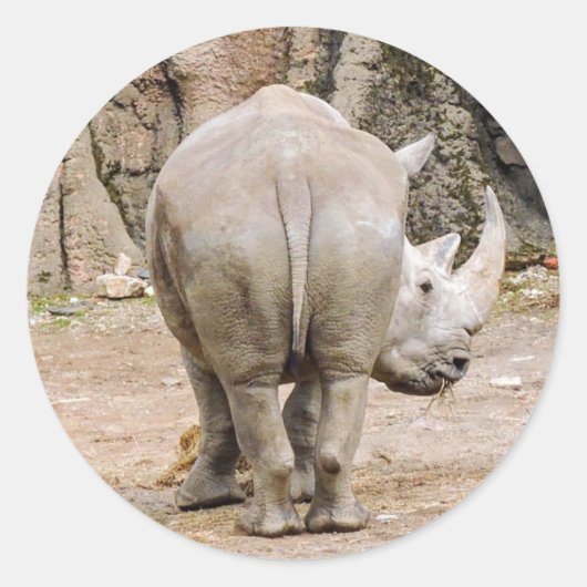 Sticker Rond Rhino Butt (Devant)