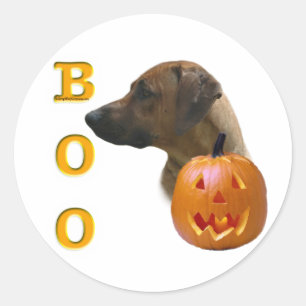 Sticker Rond Rhodesian Ridgeback Boo