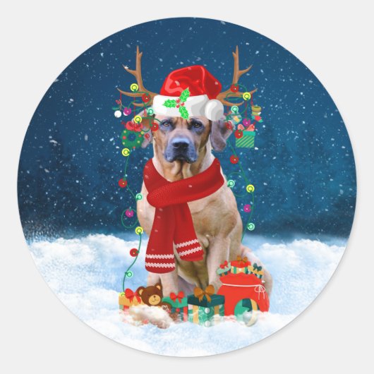 Sticker Rond Rhodesian Ridgeback Chien dans neige cadeau de Noë (Devant)