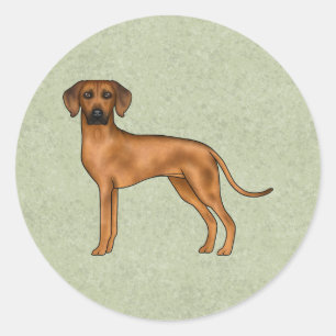 Sticker Rond Rhodesian Ridgeback mignon Chien Lion Africain Ver
