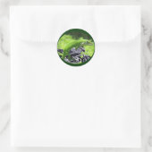 Sticker Rond Rider Hawaiian Gecko (Sac)