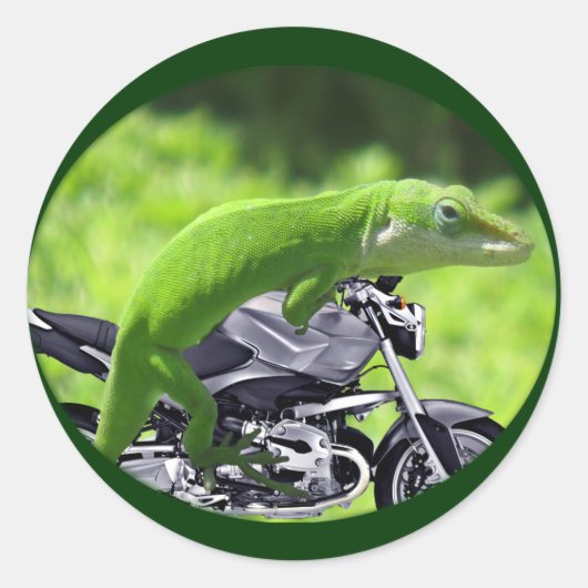 Sticker Rond Rider Hawaiian Gecko (Devant)