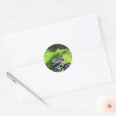Sticker Rond Rider Hawaiian Gecko (Enveloppe)