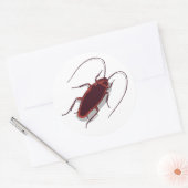 Sticker Rond Roach ! (Enveloppe)