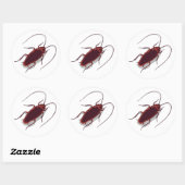 Sticker Rond Roach ! (Feuille)