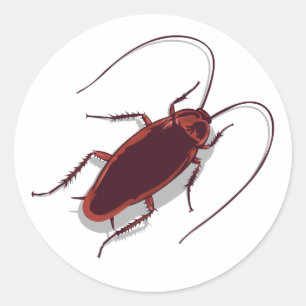 Sticker Rond Roach !