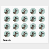 Sticker Rond Roadrunner jote Birdorable (Feuille)