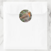 Sticker Rond Robin (Sac)