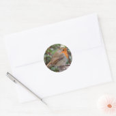 Sticker Rond Robin (Enveloppe)