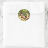 Sticker Rond Robin américain (Sac)