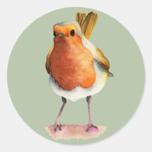Sticker Rond Robin Bird aquarelle peinture