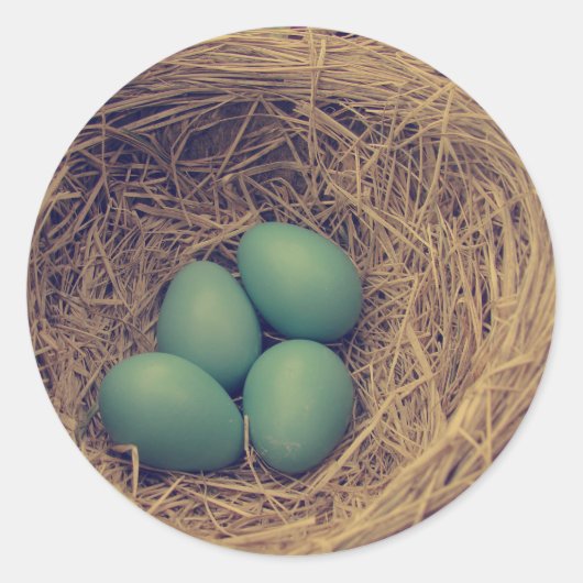 Sticker Rond Robin Nest et Oeufs (Devant)