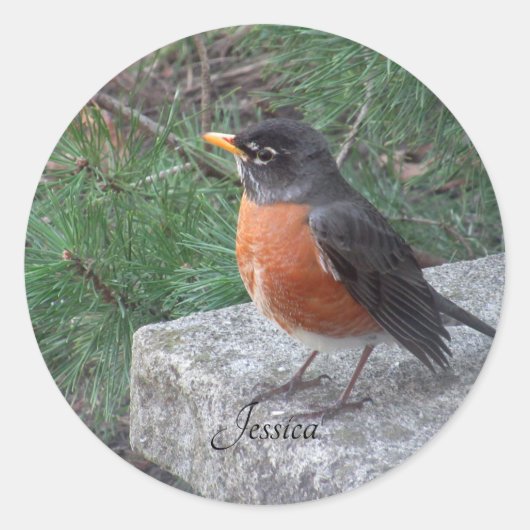 Sticker Rond Robin Photo Nom personnalisé (Devant)