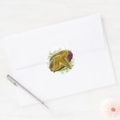 Sticker Rond Robin -R (Enveloppe)
