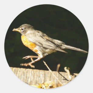 Sticker Rond Robin Rouge Bobbin