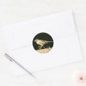 Sticker Rond Robin Rouge Bobbin (Enveloppe)