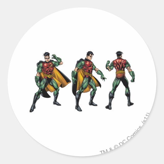 Sticker Rond Robin - Tous les côtés (Devant)