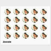 Sticker Rond Robin vintage (Feuille)