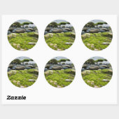 Sticker Rond Roches de mousse verte (Feuille)