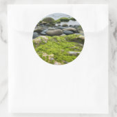 Sticker Rond Roches de mousse verte (Sac)