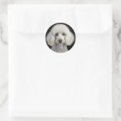 Sticker Rond Rocky (Sac)
