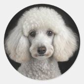 Sticker Rond Rocky (Devant)