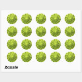 Sticker Rond romanesco-phi (Feuille)