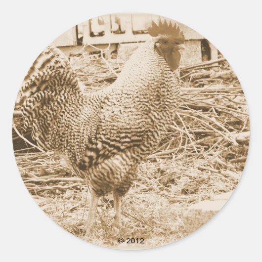 Sticker Rond Rooster de style vintage (Devant)