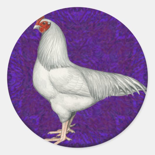 Sticker Rond Rooster Ixworth (Devant)
