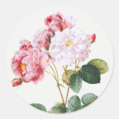 Sticker Rond Rosa Damascena, Vintage florale (Devant)