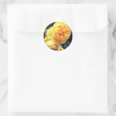 Sticker Rond Rosa Graham Tomas (Sac)