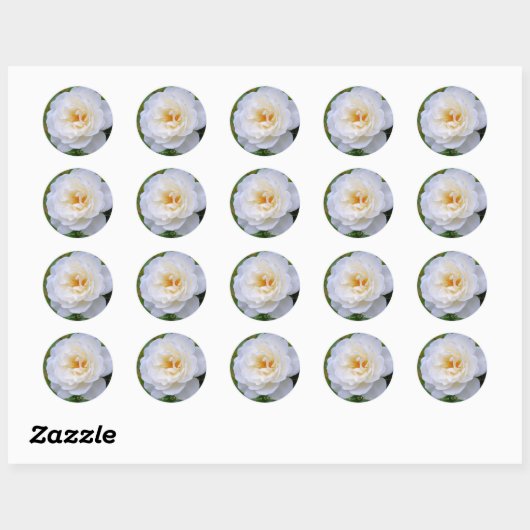 Sticker Rond Rosa Iceberg [Round Seal] (Feuille)
