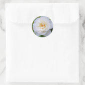Sticker Rond Rosa Iceberg [Round Seal] (Sac)