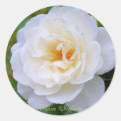 Sticker Rond Rosa Iceberg [Round Seal] (Devant)